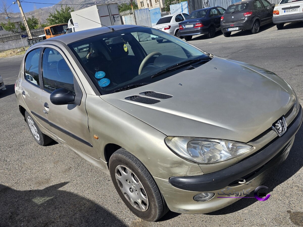 پژو ۲۰۶ فرانسوی