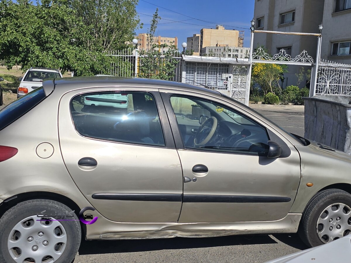 پژو ۲۰۶ فرانسوی
